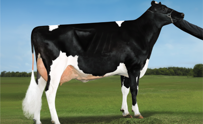 Sexcel Semen Available