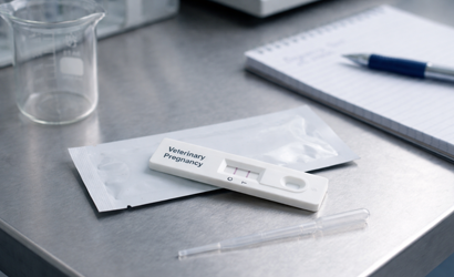 Prompt Pregnancy Test Kit